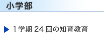 小学部｜1学期24回の知育教育